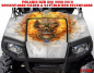 Preview: Nitro Weiß, Feuerfarbe = Natürlich für Polaris RZR 800/800 S - 2006-2010